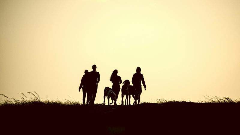 Das Geheimnis einer glücklichen Familie